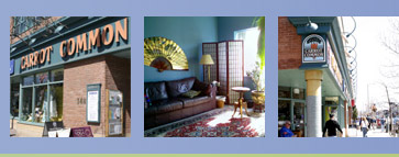 Toronto counsellor, Toronto Counsellor, Toronto therapist, Toronto psychotherapist, Lesli Musicar, Lesli Musicar, M.Ed., Counselling at the Carrot, Carrot Common, EMDR